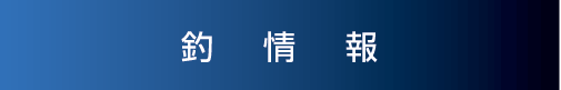 釣り情報