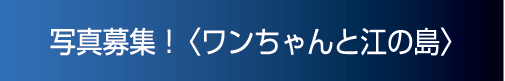 写真募集