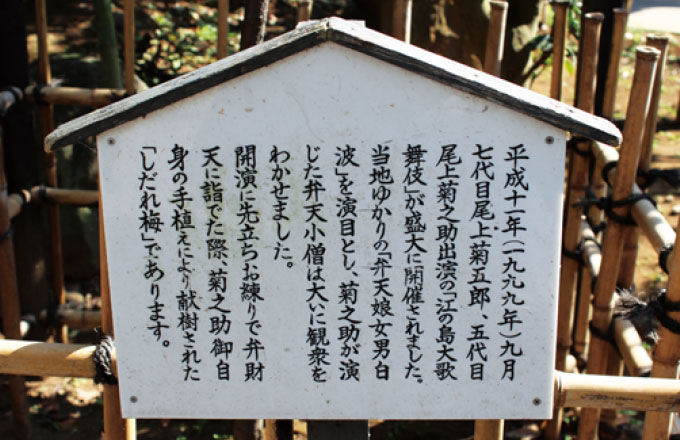 尾上菊之助が献樹された「しだれ梅｣