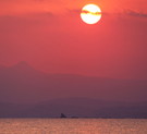 夕焼けの烏帽子岩