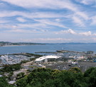 ヨットハーバー全景