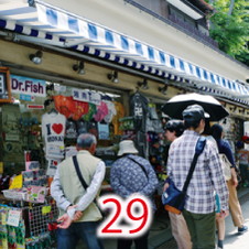 29春巳屋