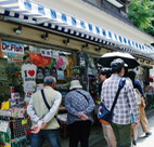 春巳屋