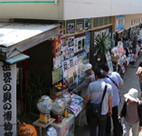 貝広物産展